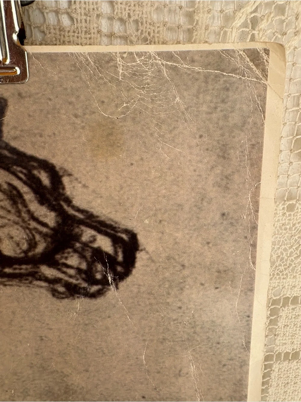 No name brand horse sketch
